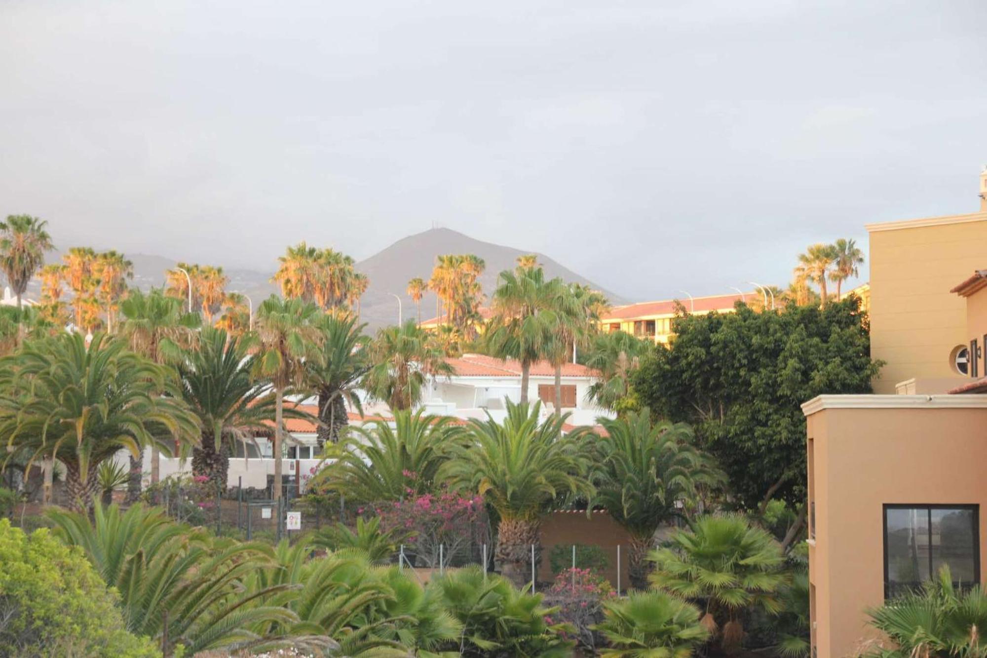 Vive Rie Ama Tenerife - 2 Bedroom Apartment San Miguel de Abona Bagian luar foto